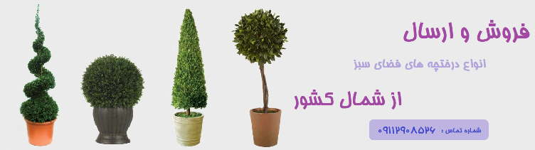 فروش گل و درختچه های فضای سبز